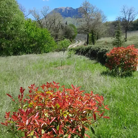 Roulotte Bugarach