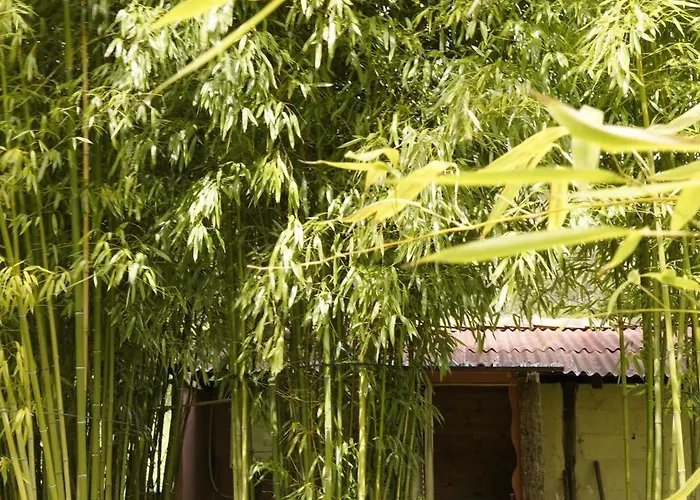 Roulotte Κάμπινγκ